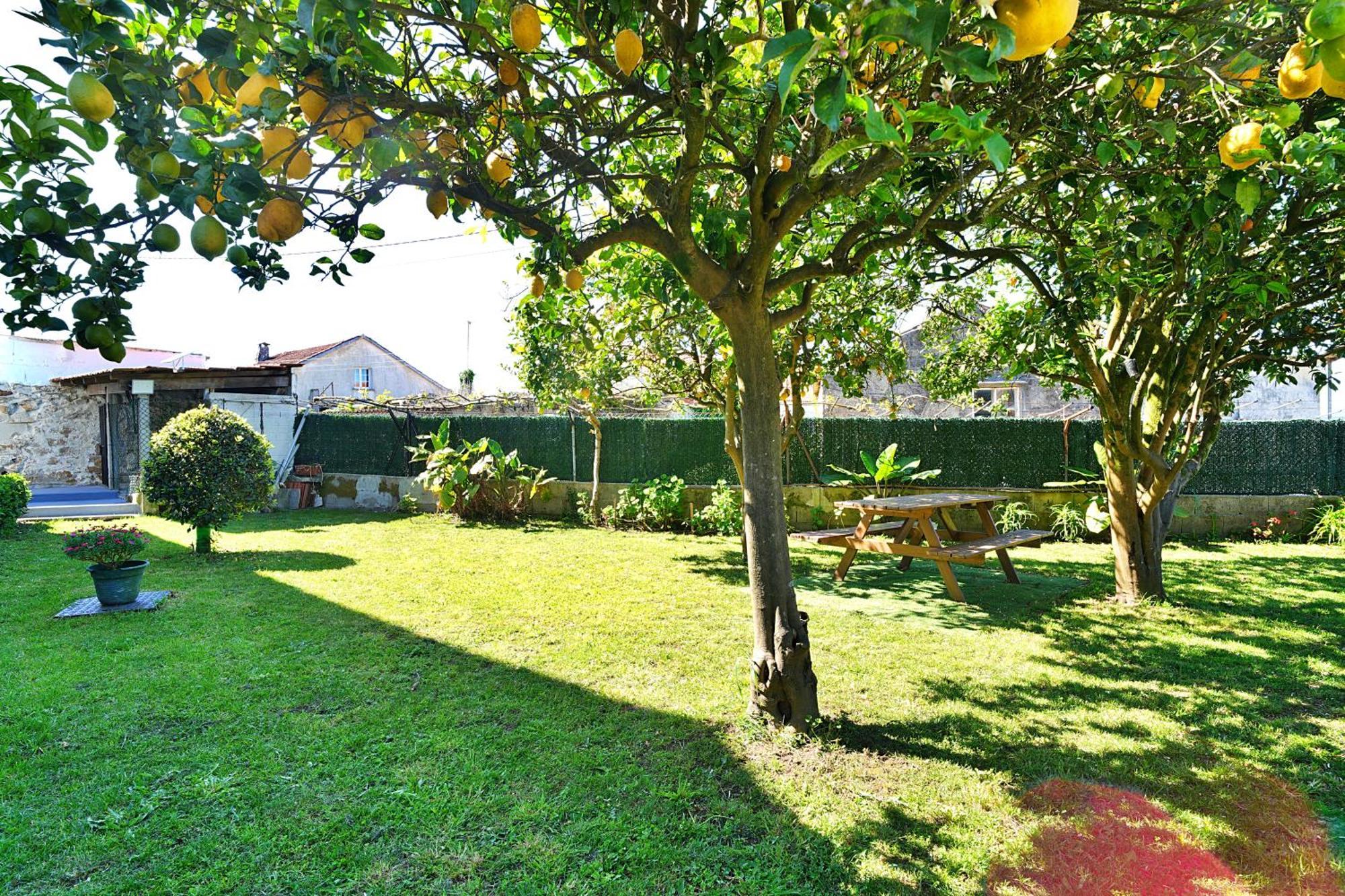 Casa con jardín en Vilanova de Arousa Exterior foto